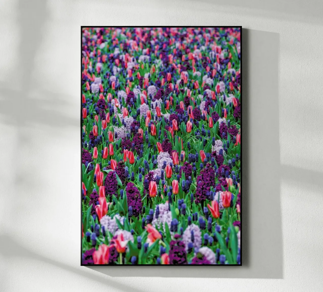 Tulip Field Purple plexiglass da Curious Collections by Marielle Leenders