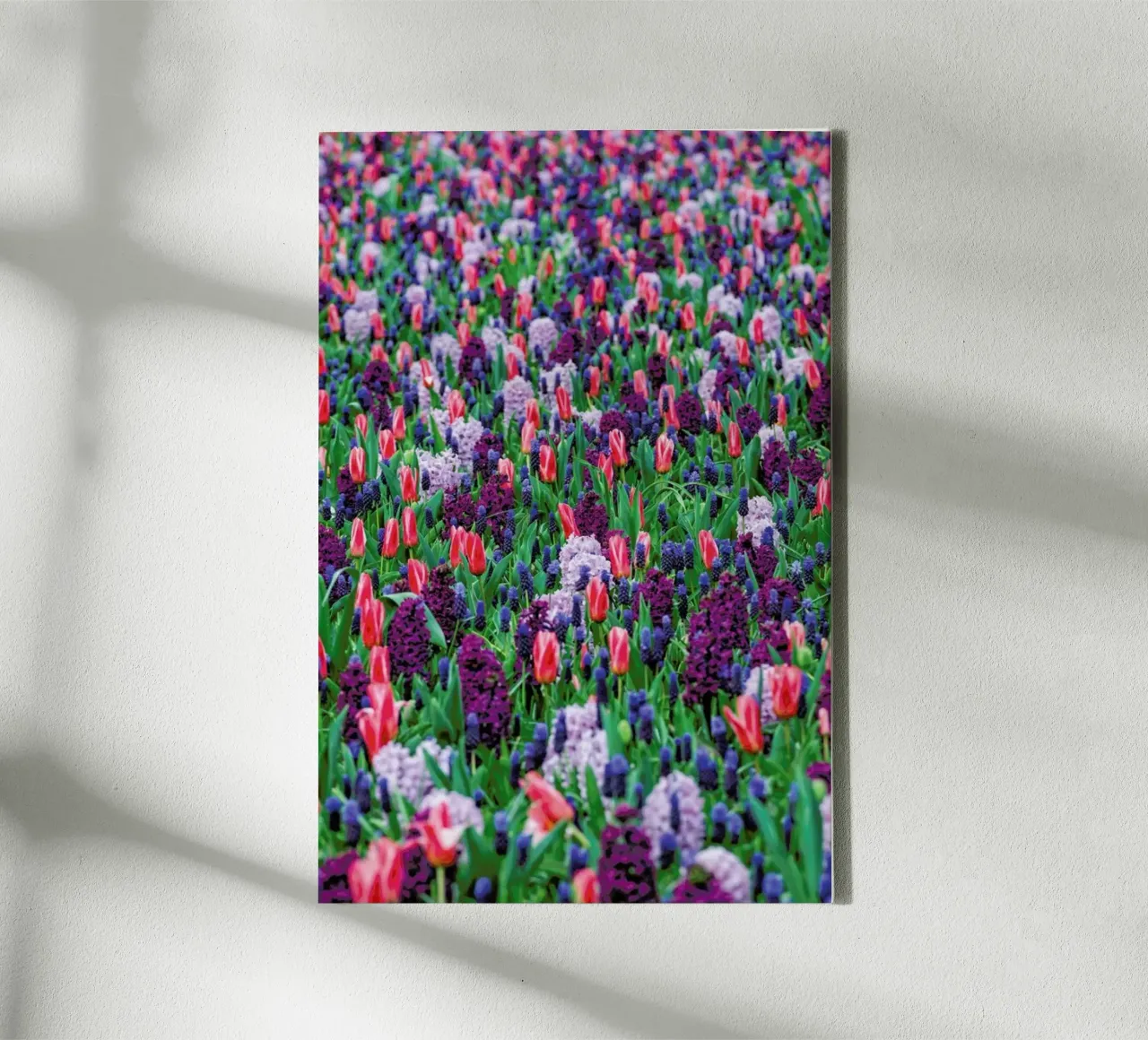 Tulip Field Purple tela da Curious Collections by Marielle Leenders