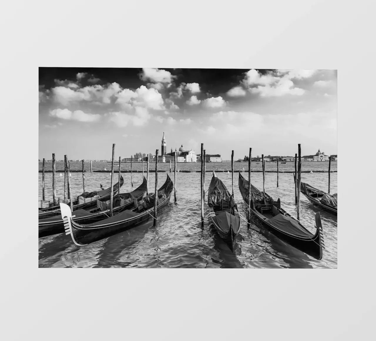 VENICE 10 pellicola backlit da Tom Uhlenberg