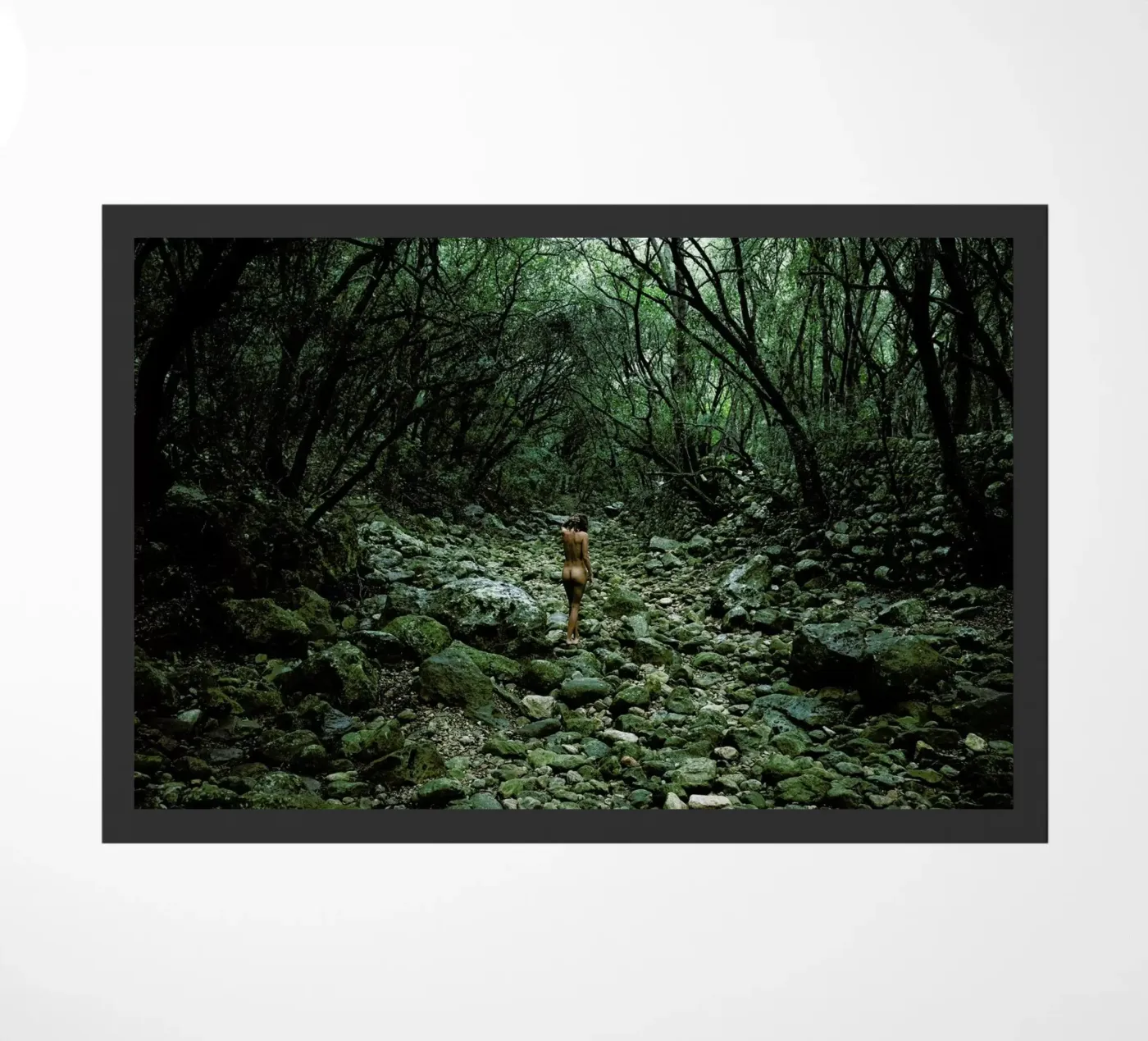 Vastness zerbino da Matevž Kosterov