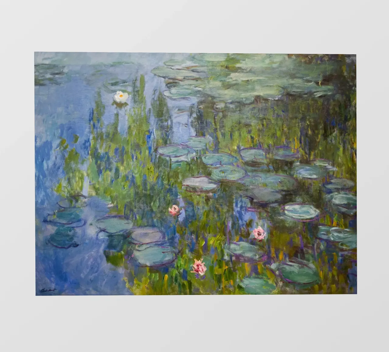 Claude Monet - Ninfee telo in pvc da Timeless Artworks