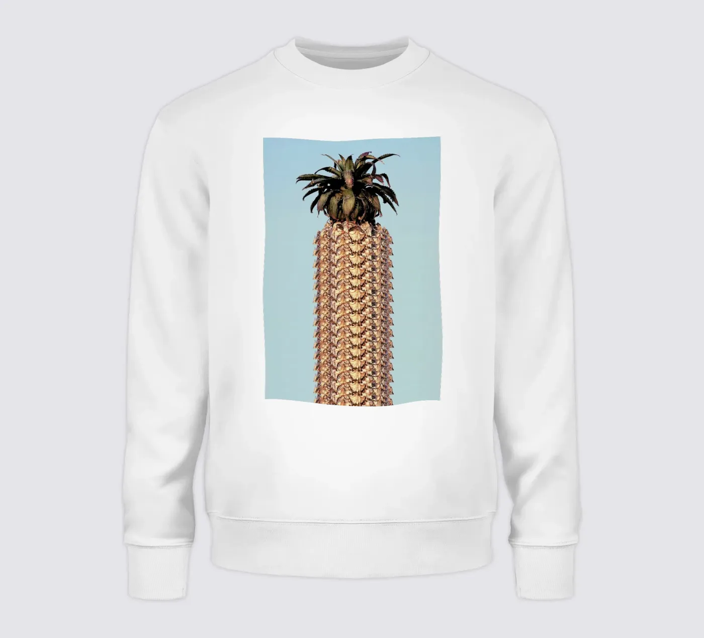 Pineapple felpa da Ballack Art House