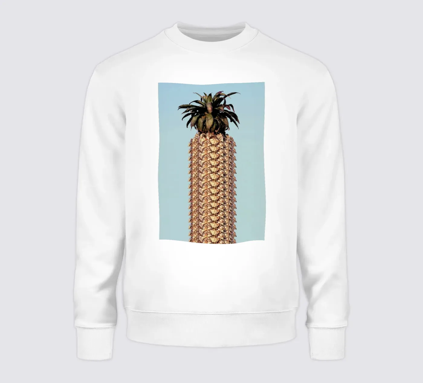 Pineapple felpa da Ballack Art House