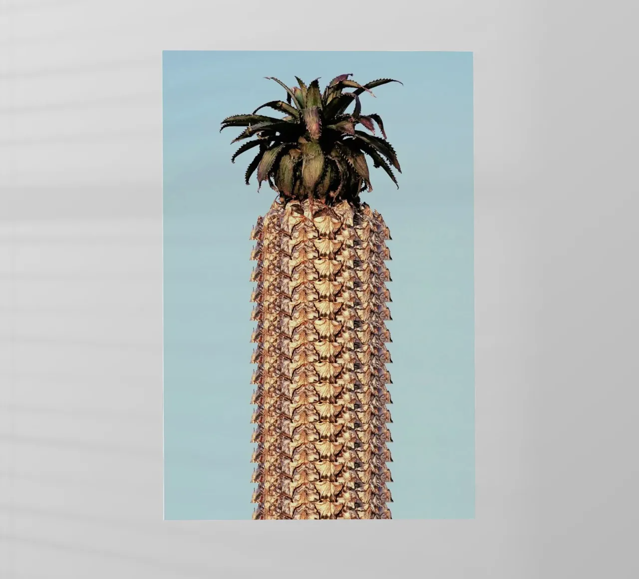 Pineapple pellicola backlit da Ballack Art House