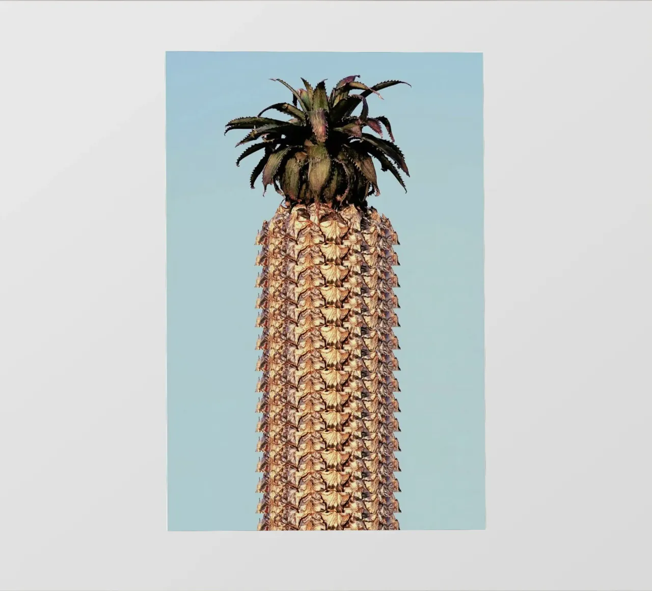 Pineapple pellicola backlit da Ballack Art House