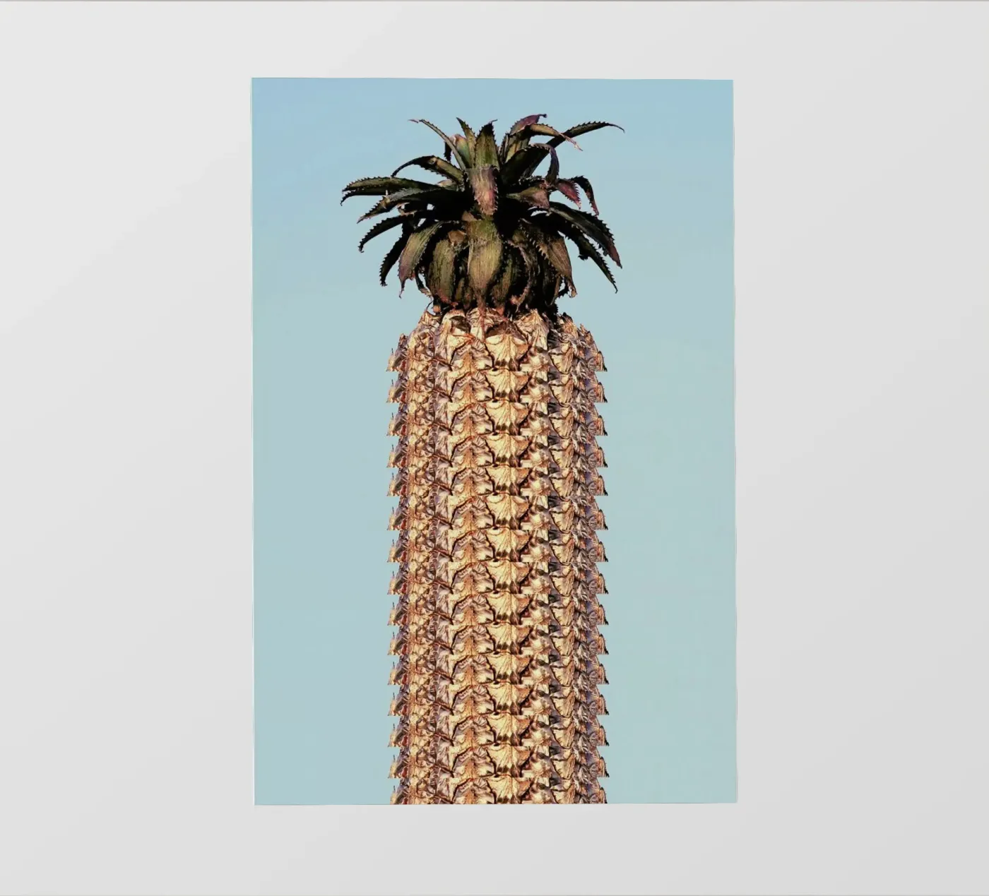 Pineapple pvc cover by Ballack Art House