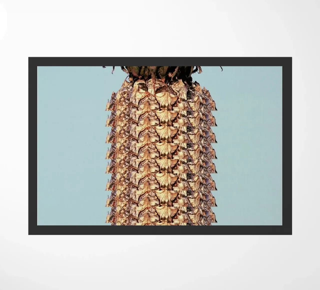 Pineapple zerbino da Ballack Art House