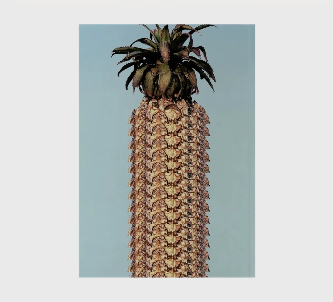 Pineapple notebook by Ballack Art House