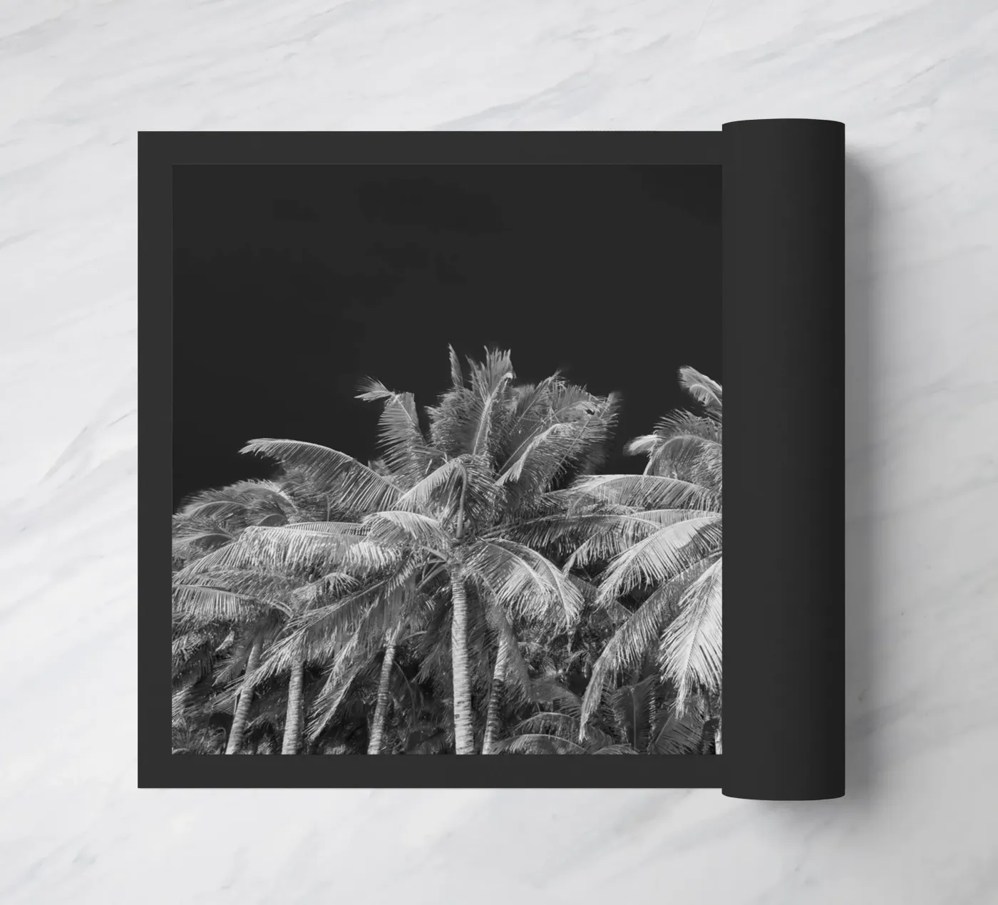 BORACAY 11 zerbino da Tom Uhlenberg