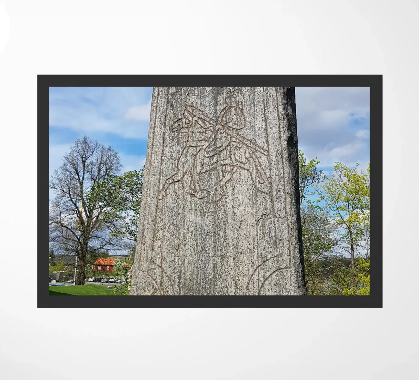 Stele zerbino da Massimo Frascogna