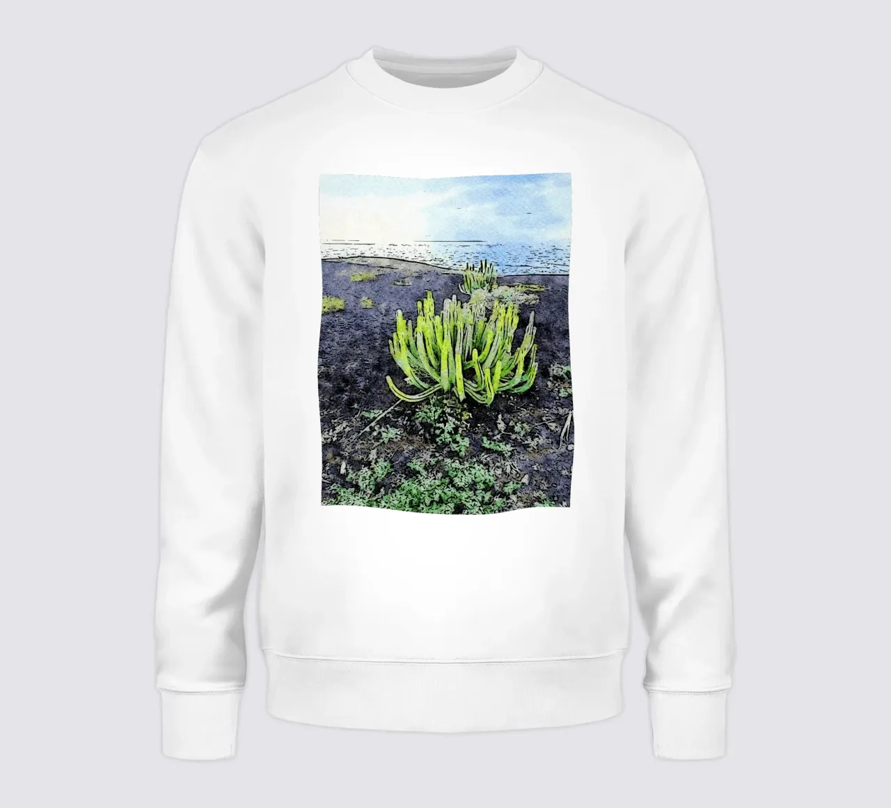 cactus felpa da Massimo Frascogna