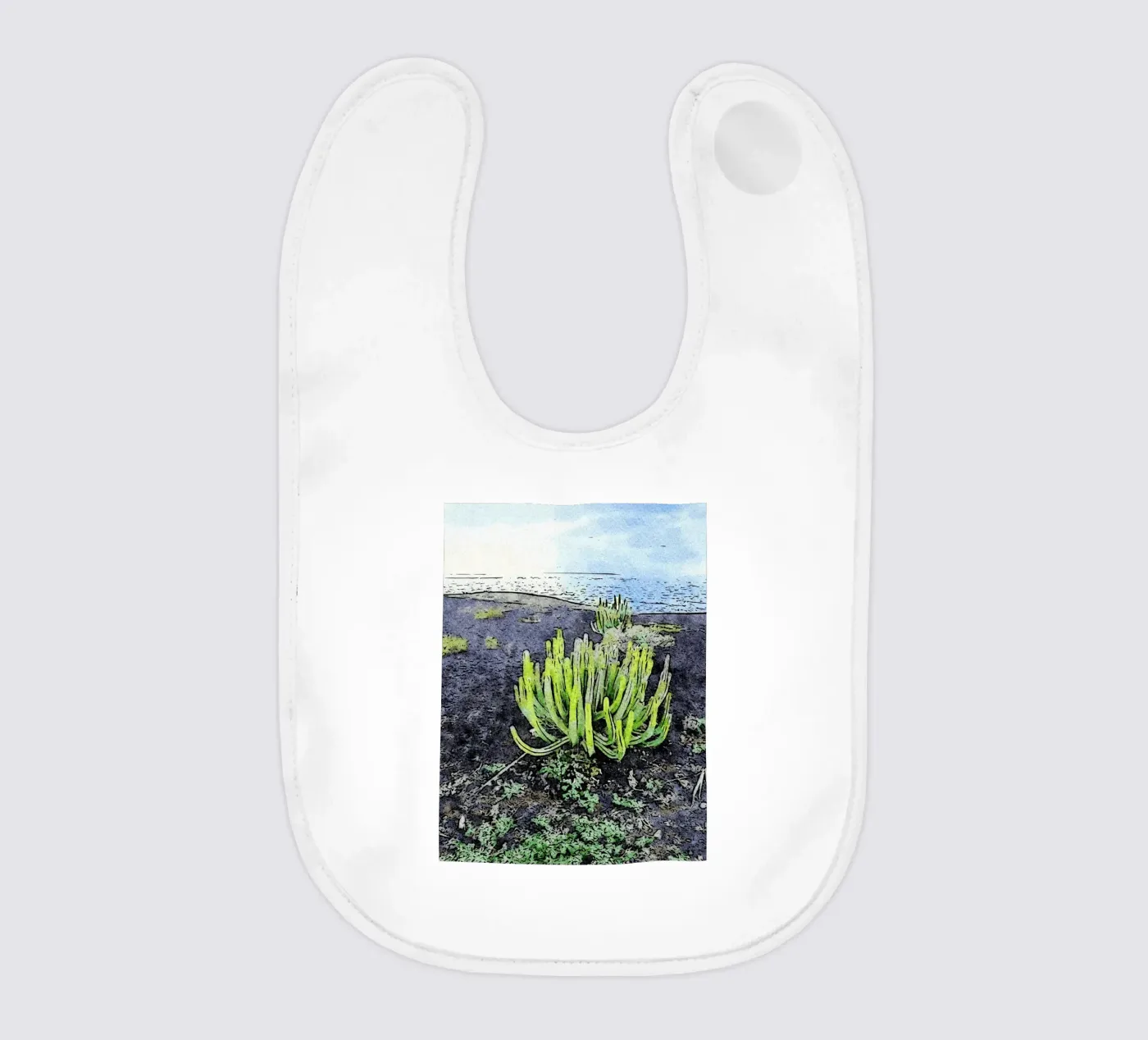 cactus bavaglino da Massimo Frascogna