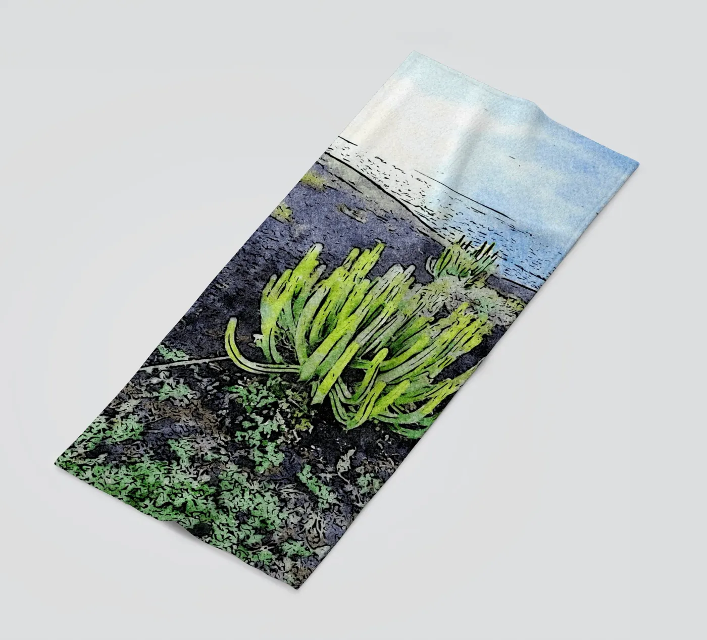 cactus telo mare da Massimo Frascogna