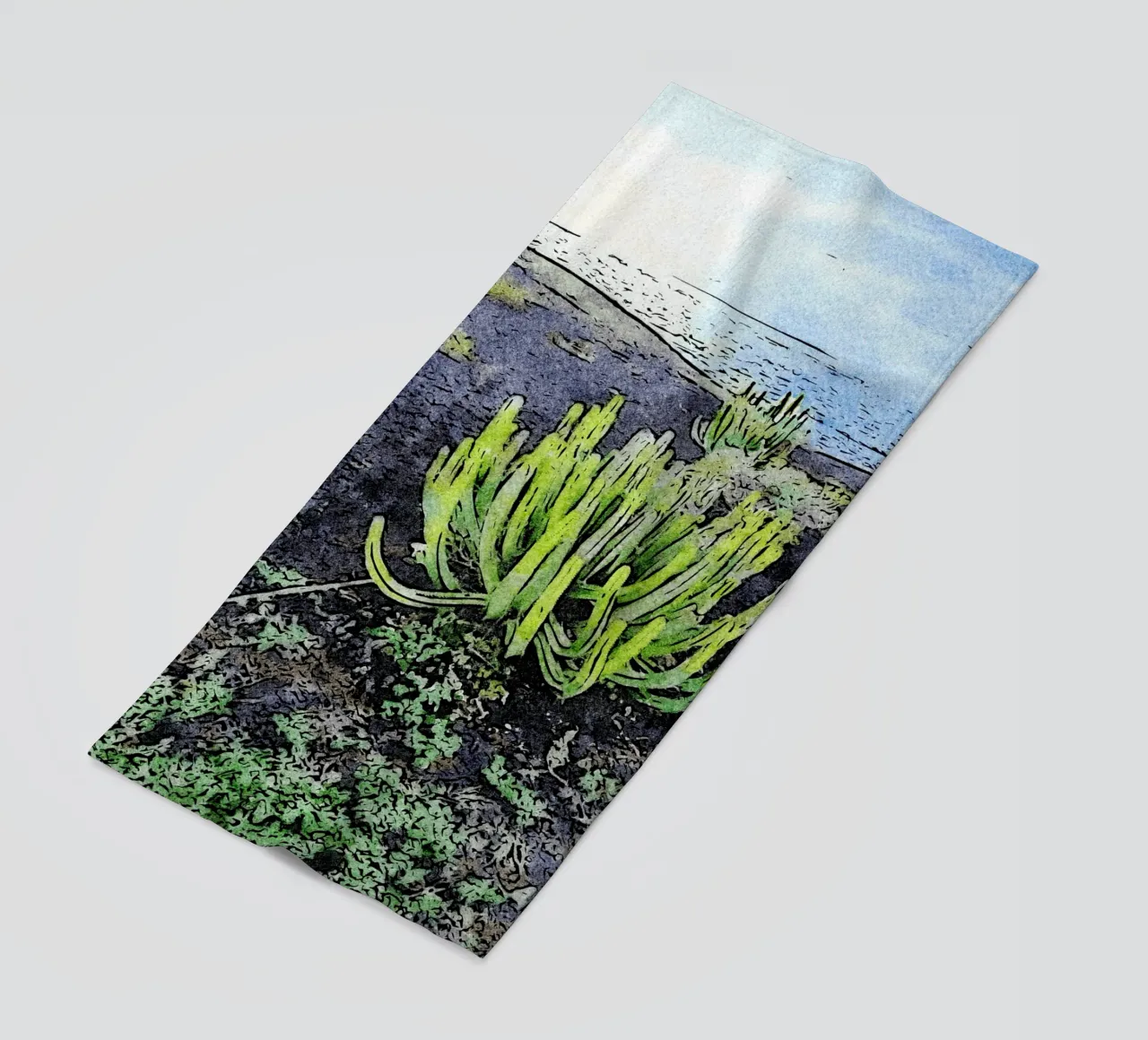 cactus telo mare da Massimo Frascogna