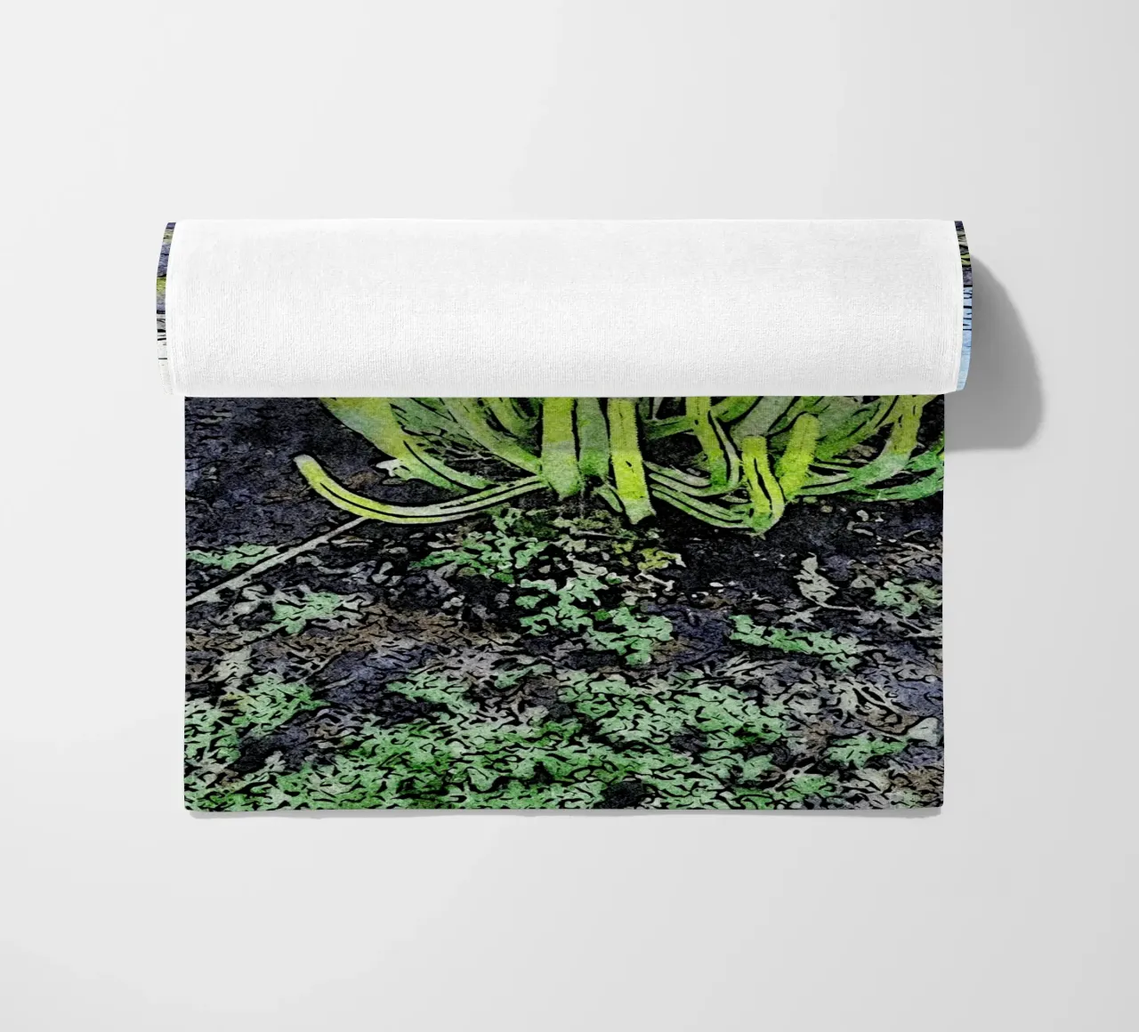 cactus telo mare da Massimo Frascogna