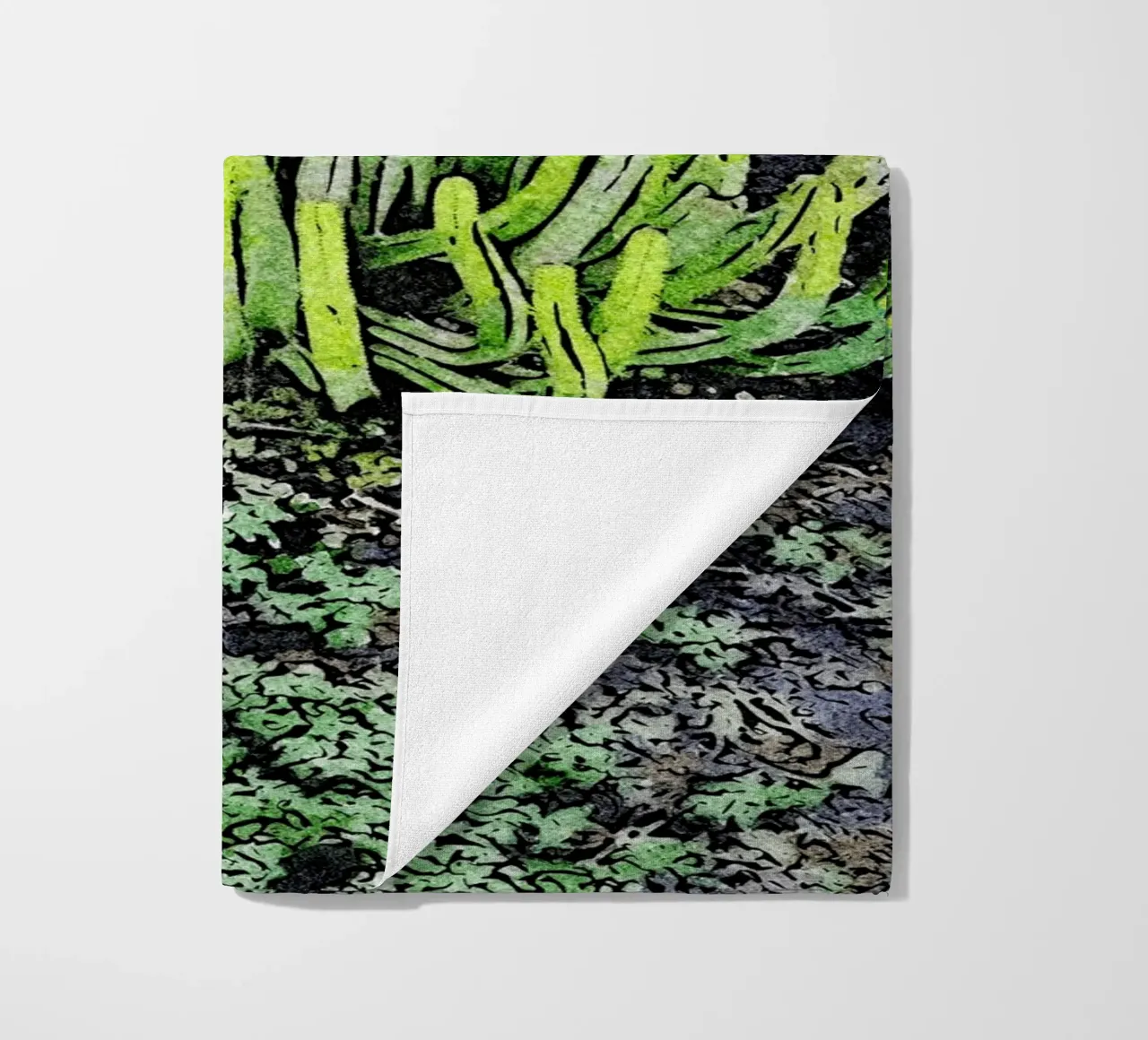 cactus telo mare da Massimo Frascogna