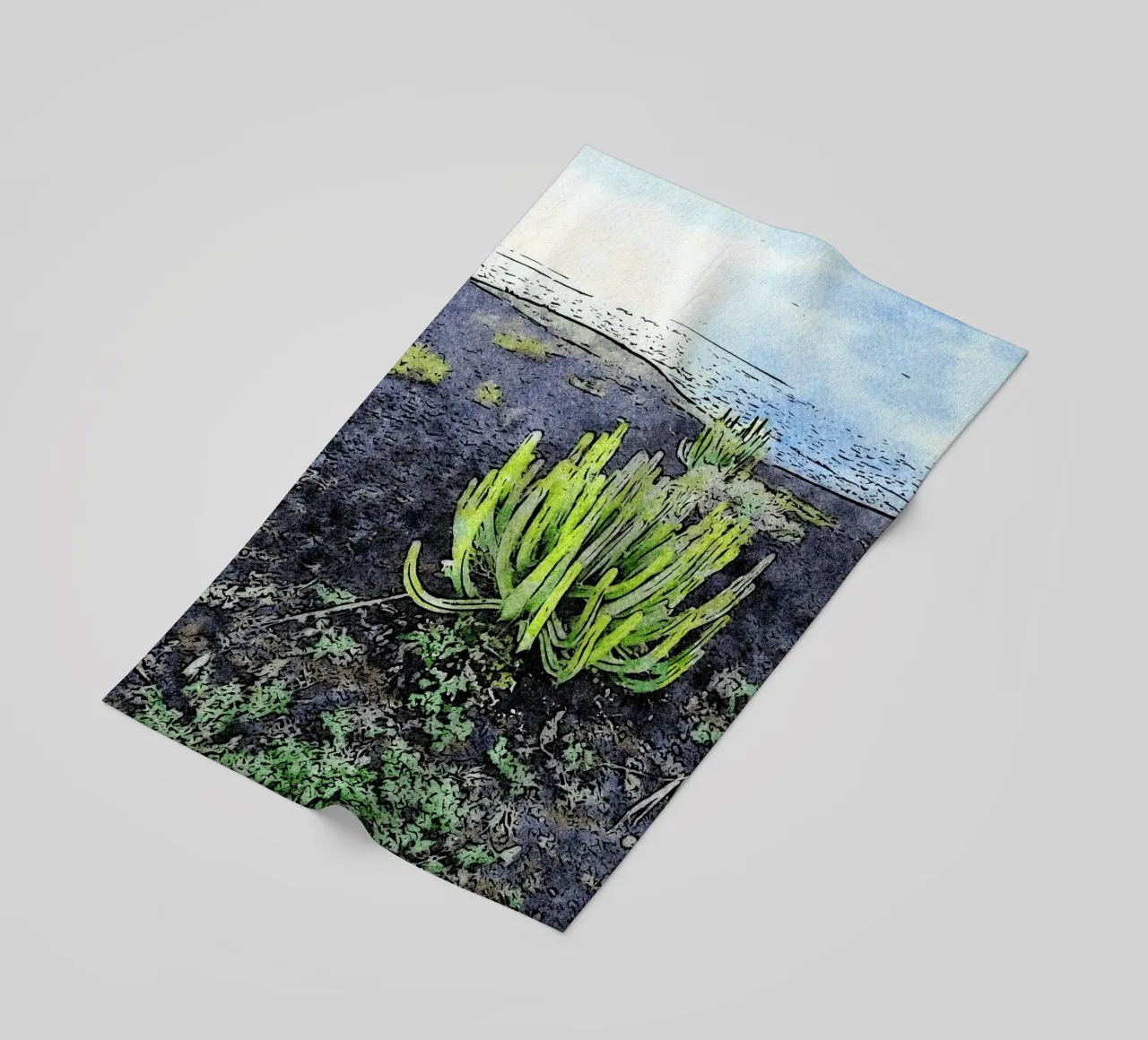 cactus telo mare da Massimo Frascogna