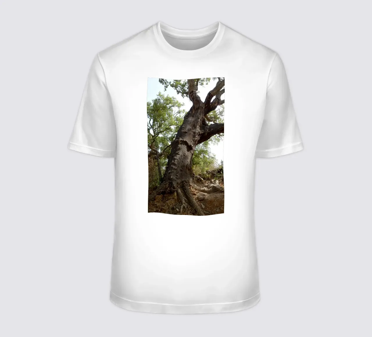 Quercia t-shirt da Massimo Frascogna
