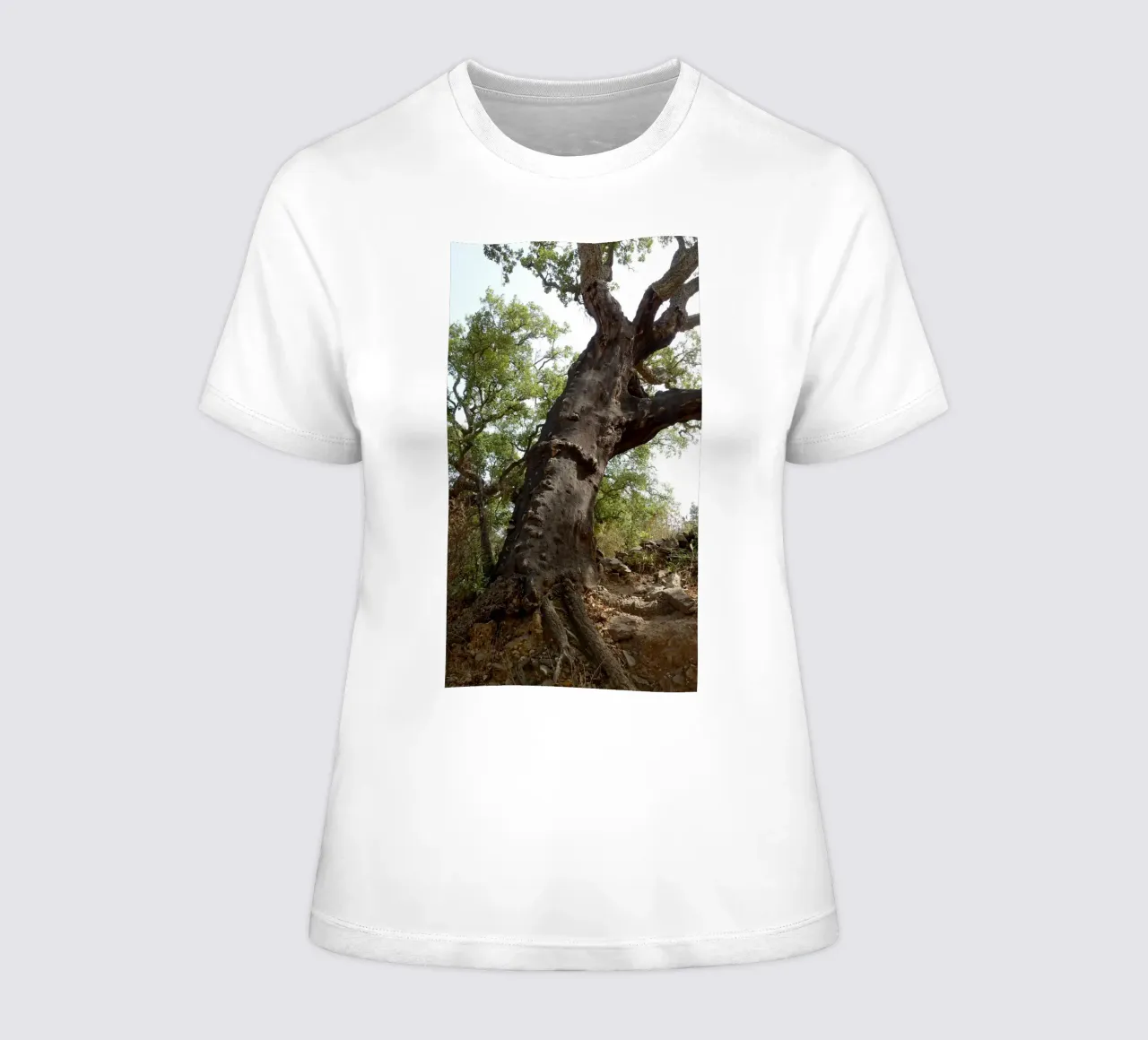 Eiche Frauen T-Shirt von Massimo Frascogna