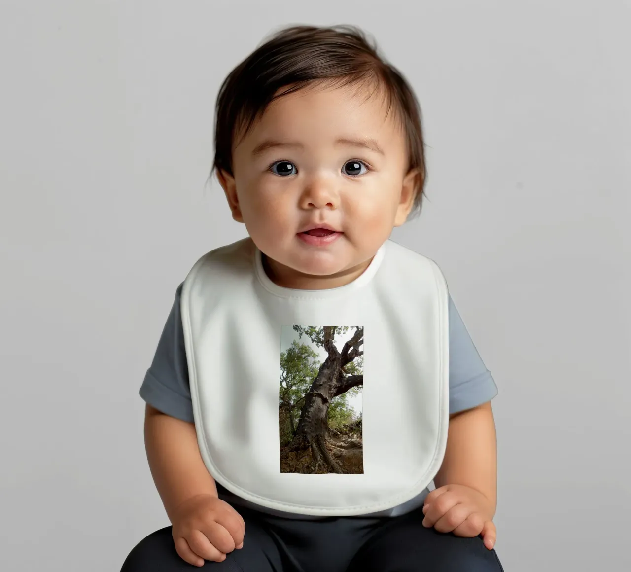 Quercia bavaglino da Massimo Frascogna