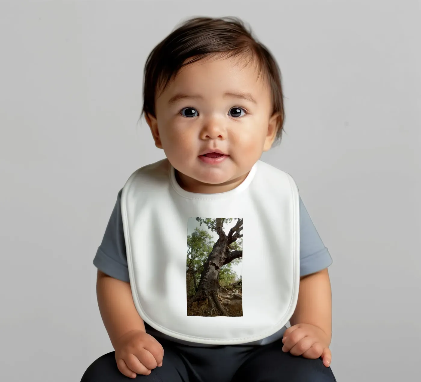 Oak bavaglino da Massimo Frascogna