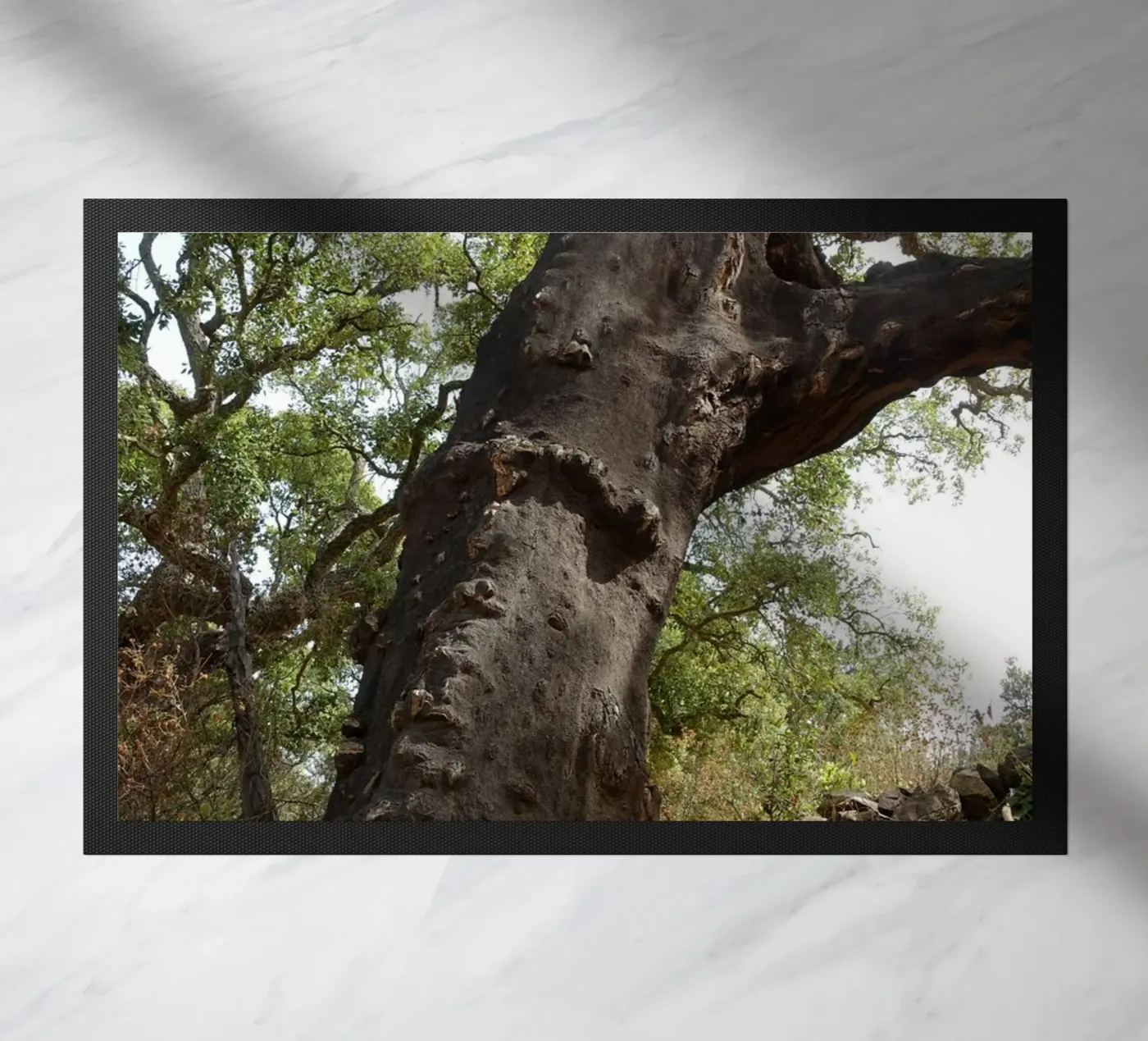 Oak paillasson de Massimo Frascogna