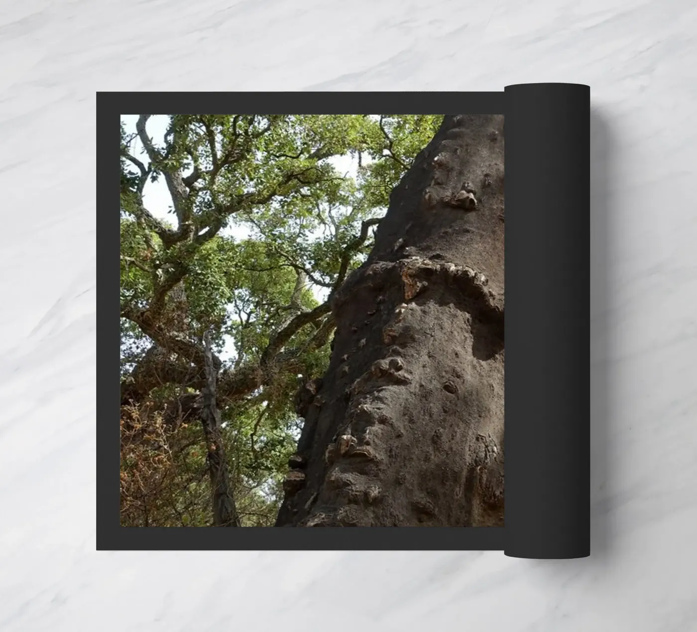 Oak paillasson de Massimo Frascogna