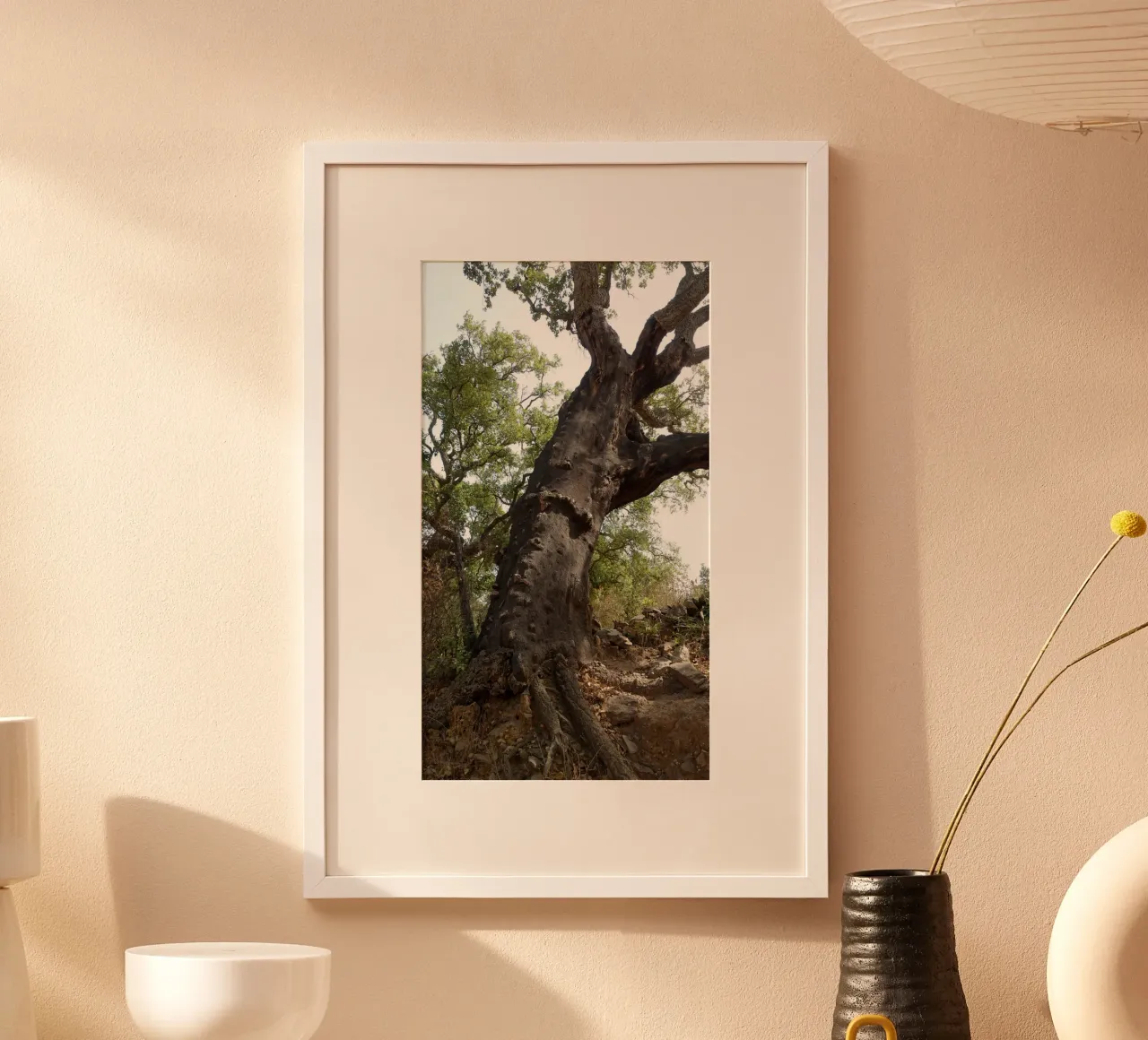 Quercia carta hahnemühle da Massimo Frascogna