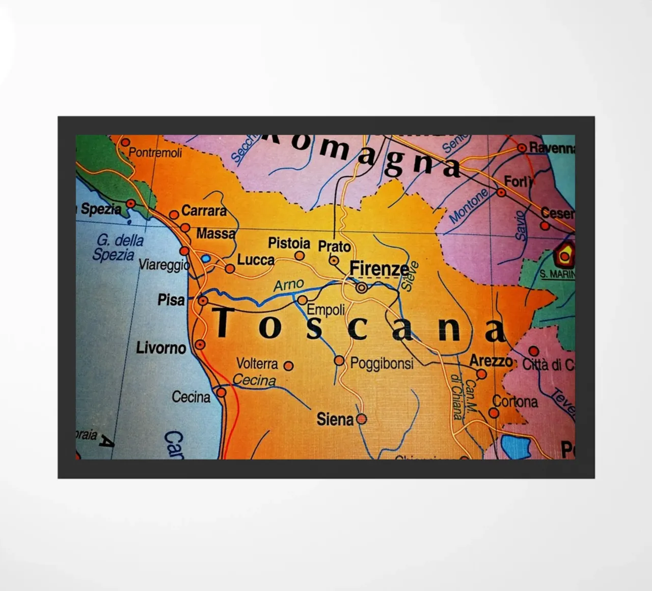 Toscana zerbino da Massimo Frascogna