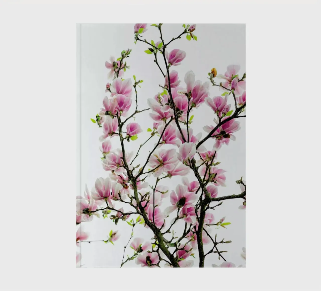 Magnolia Pink 2 notitieboek van Curious Collections by Marielle Leenders