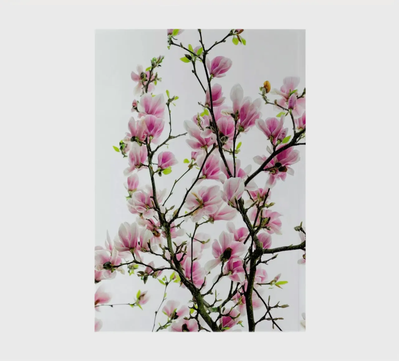 Magnolia Pink 2 notitieboek van Curious Collections by Marielle Leenders