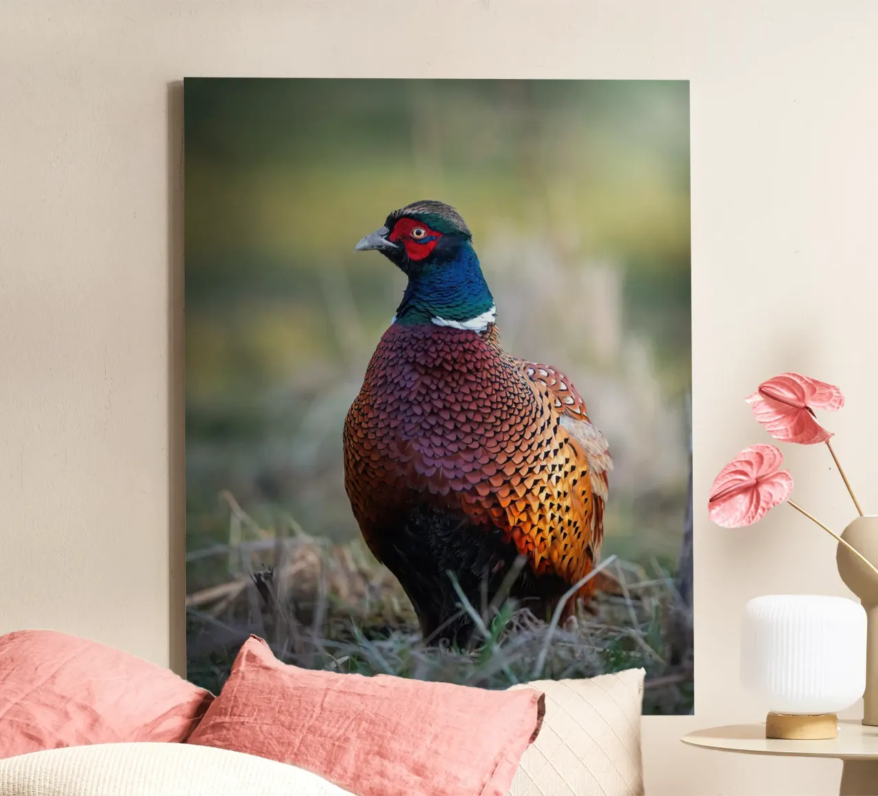 Männlicher Fasan Leinwand mit Schattenfugenrahmen von Tom's Wildlife