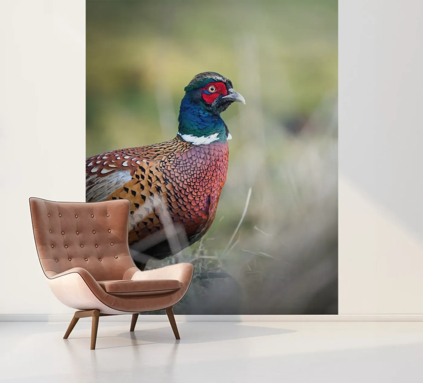 Fazant fotobehang van Tom's Wildlife