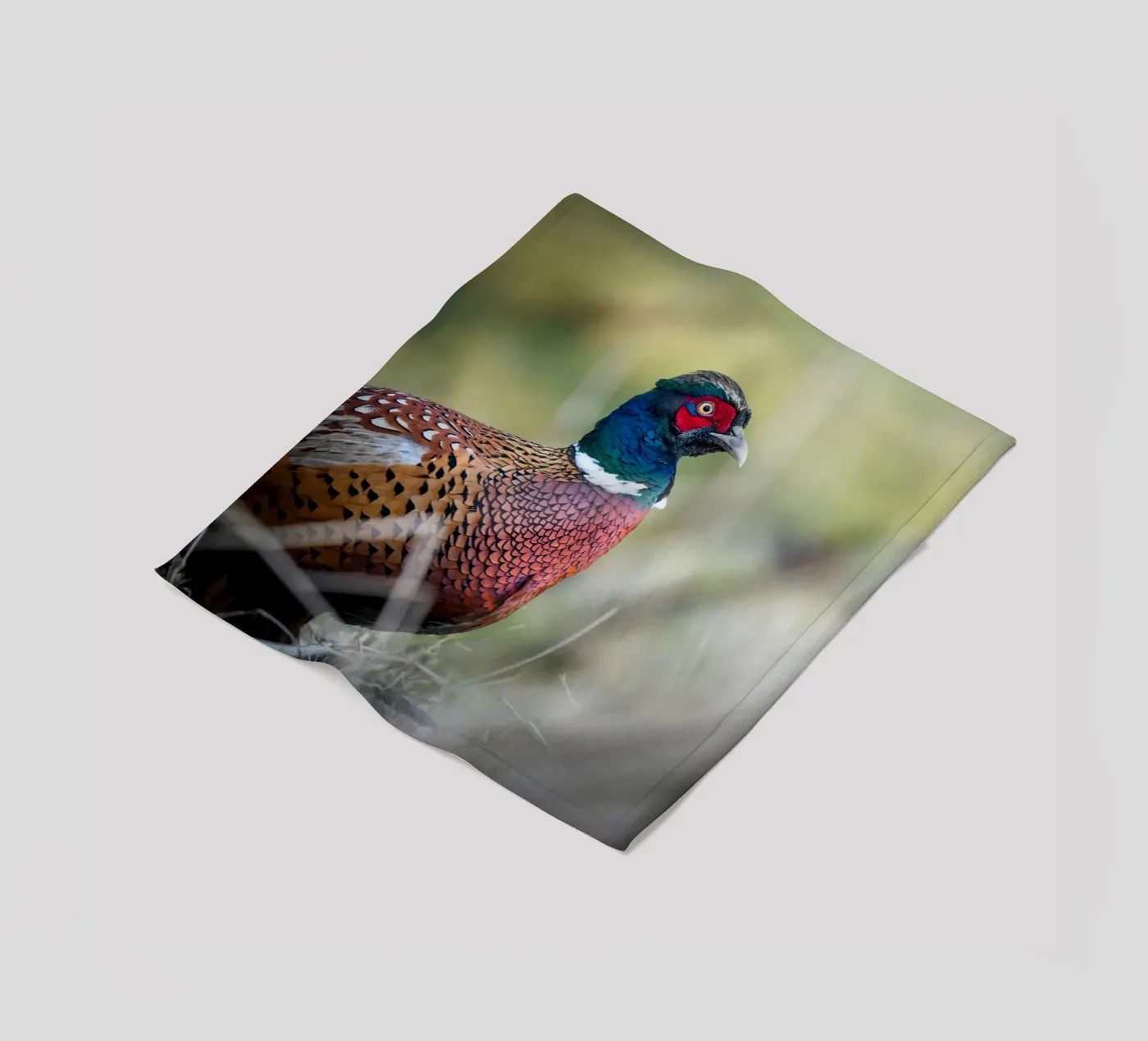 Pheasant fleece blanket by Tom's Wildlife