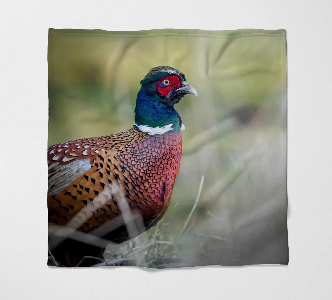 Fazant fleecedeken van Tom's Wildlife