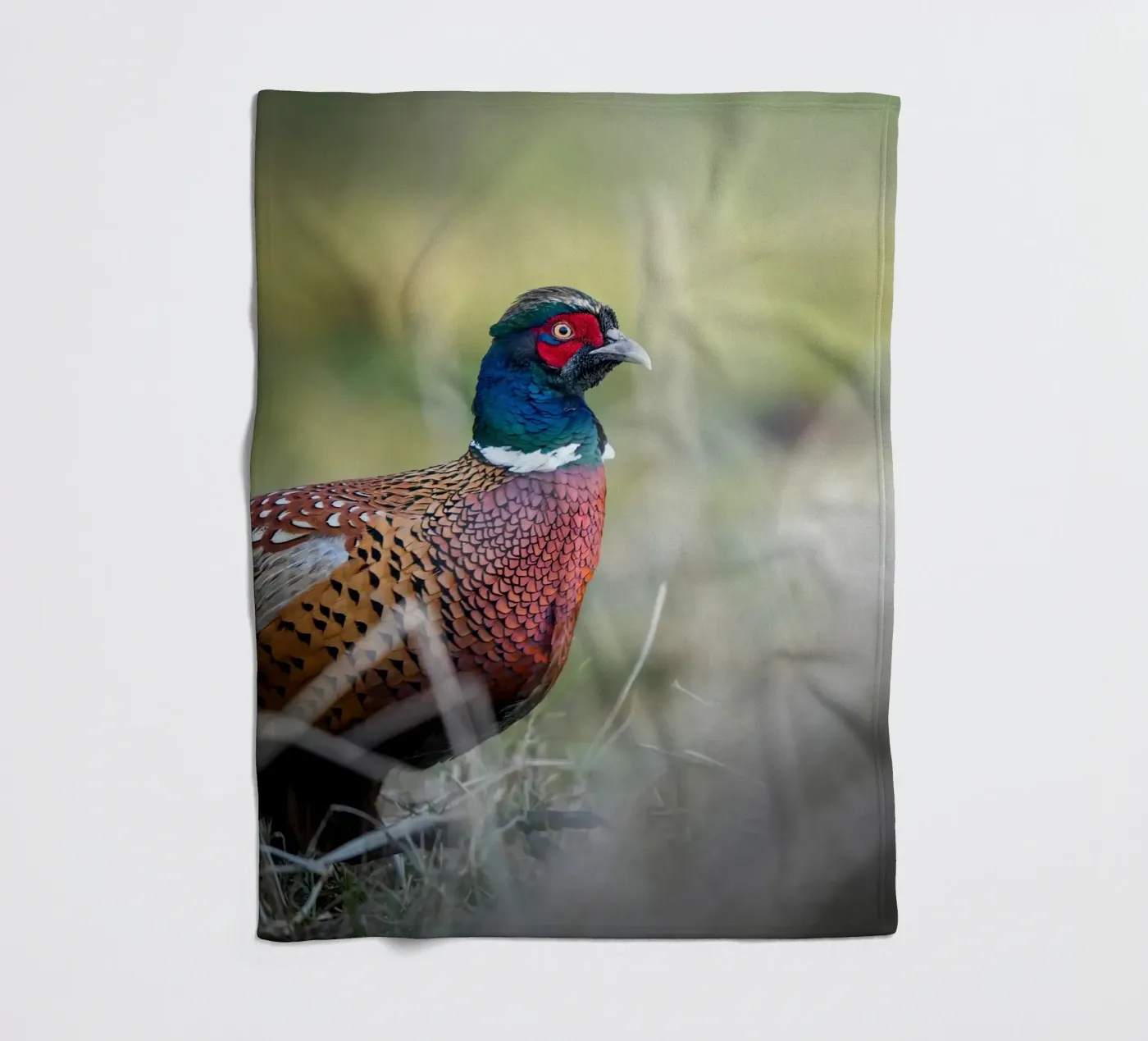 Pheasant fleece blanket by Tom's Wildlife