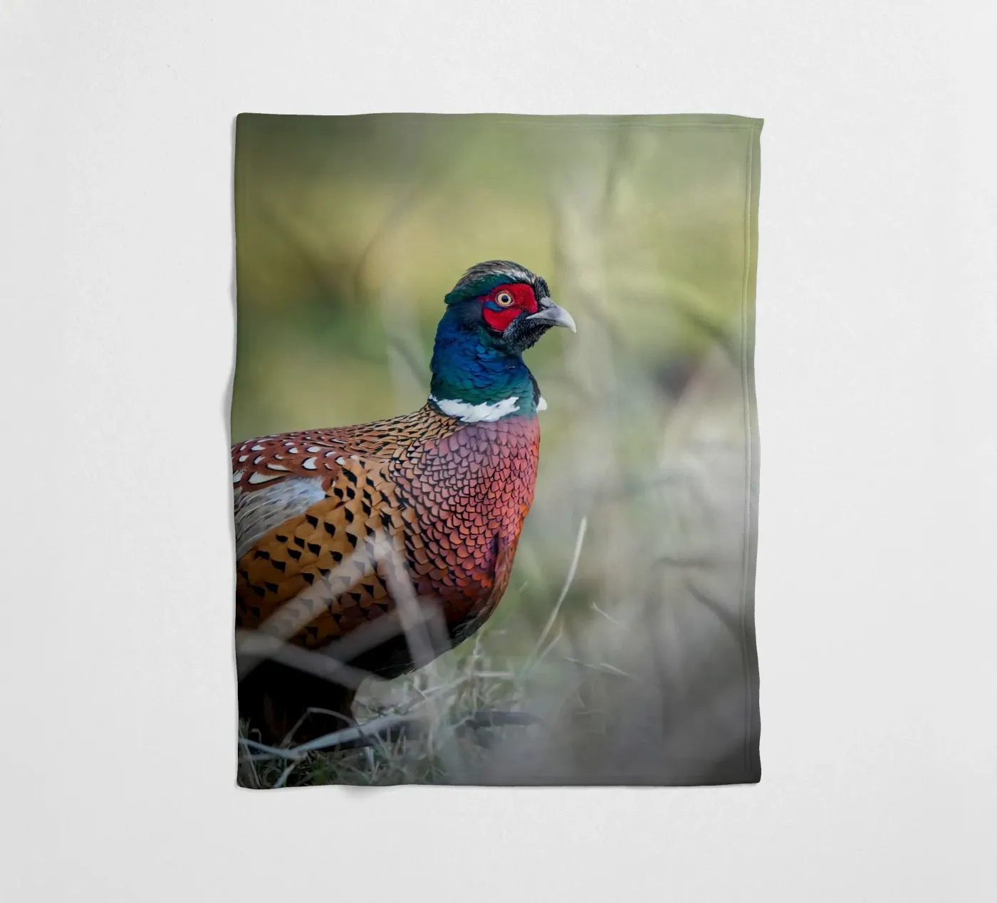 Pheasant fleece blanket by Tom's Wildlife