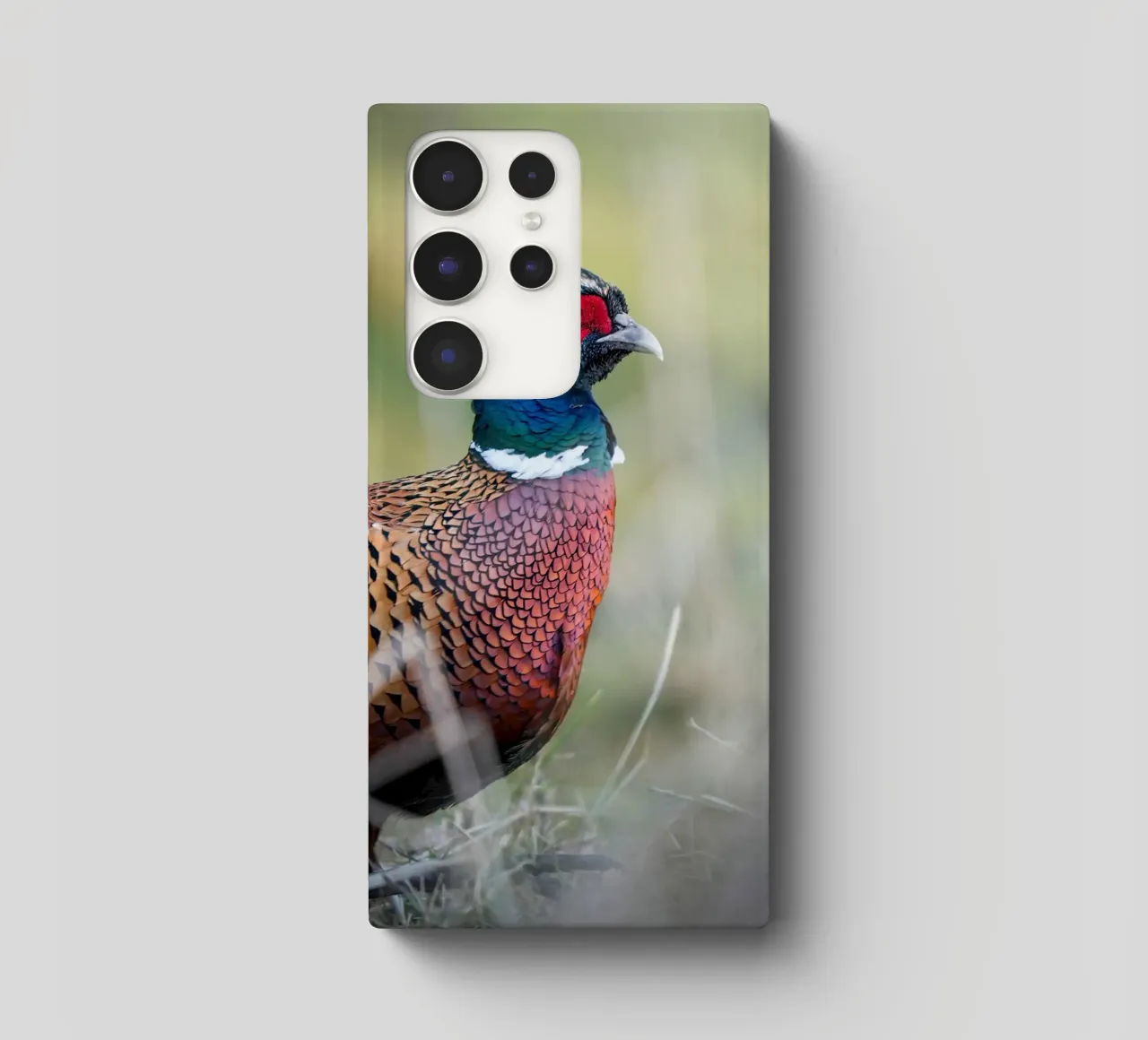 Pheasant cover samsung da Tom's Wildlife