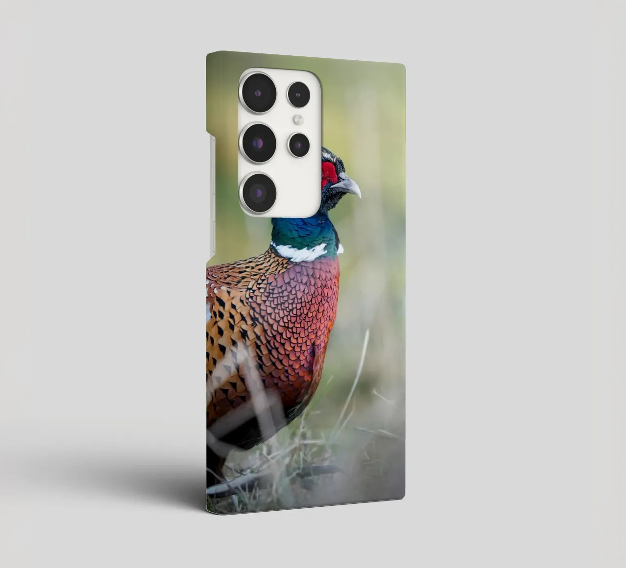 Pheasant cover samsung da Tom's Wildlife