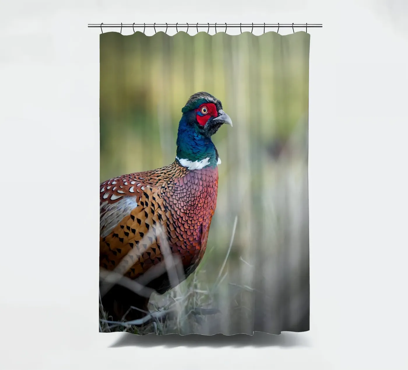 Fasan Duschvorhang von Tom's Wildlife