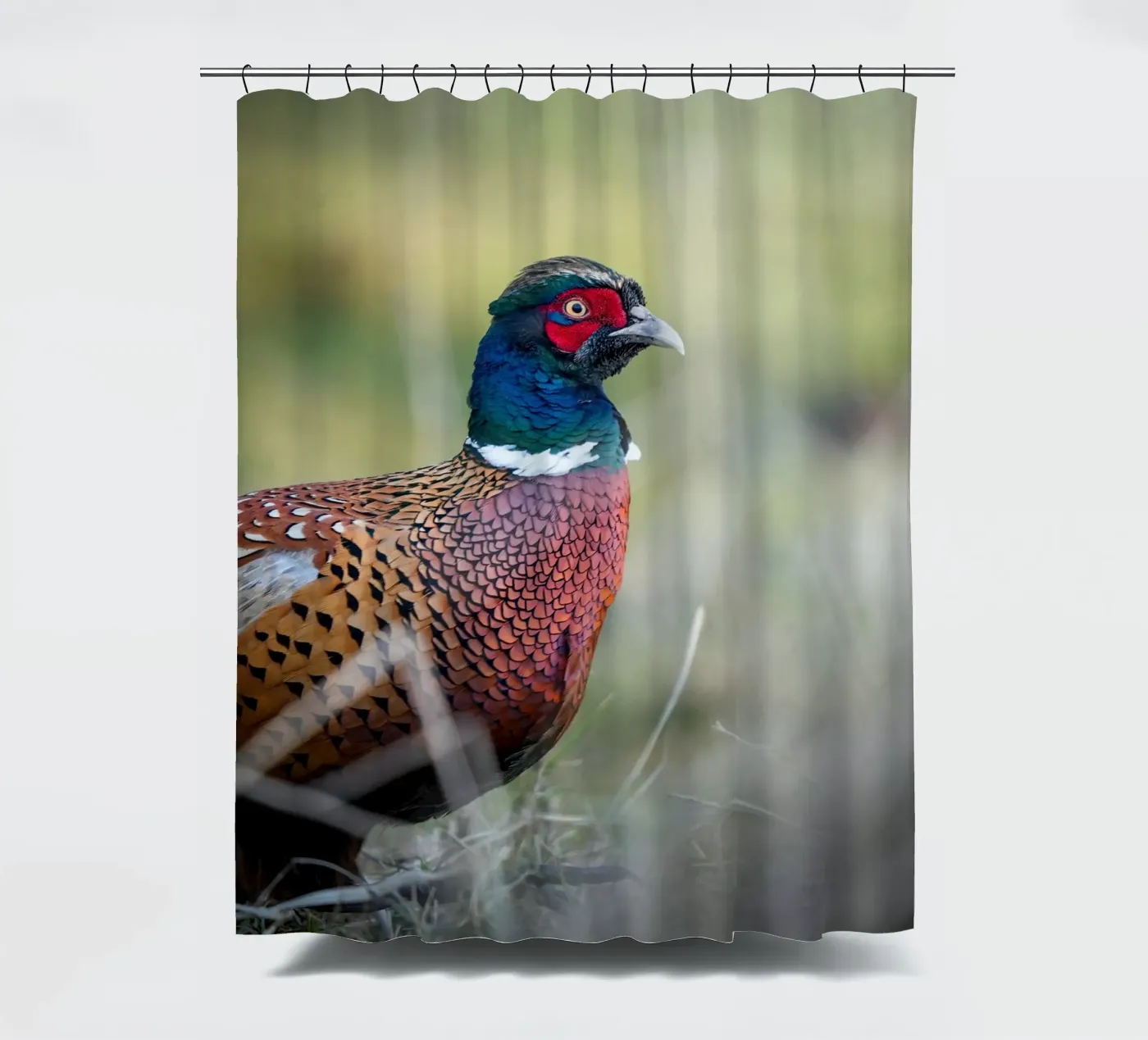 Fasan Duschvorhang von Tom's Wildlife
