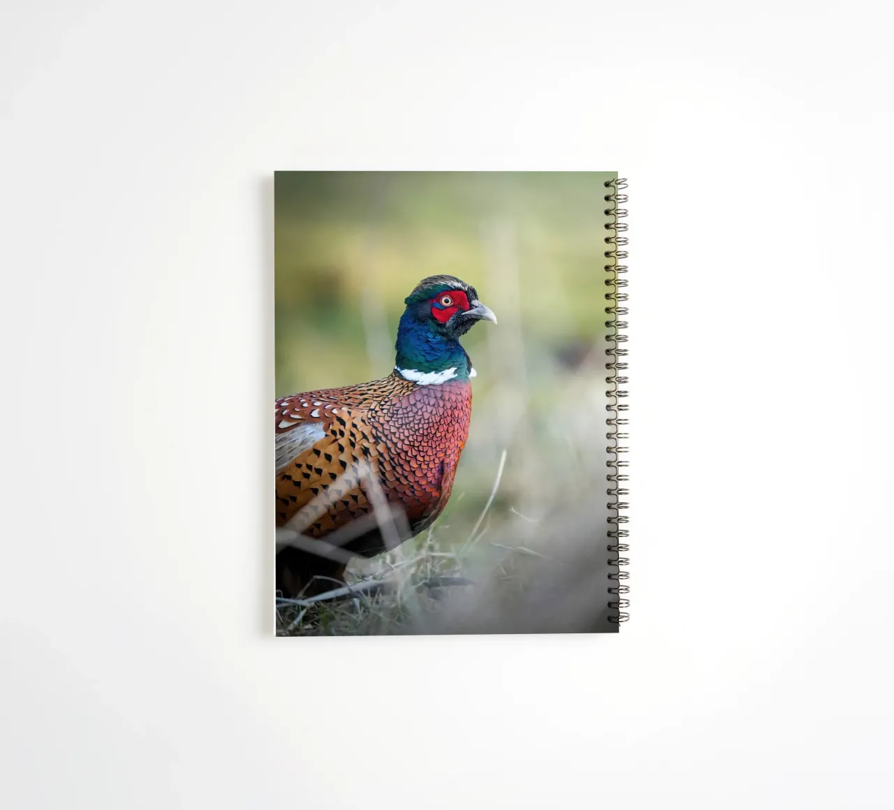 Pheasant spiral notebook by Tom's Wildlife