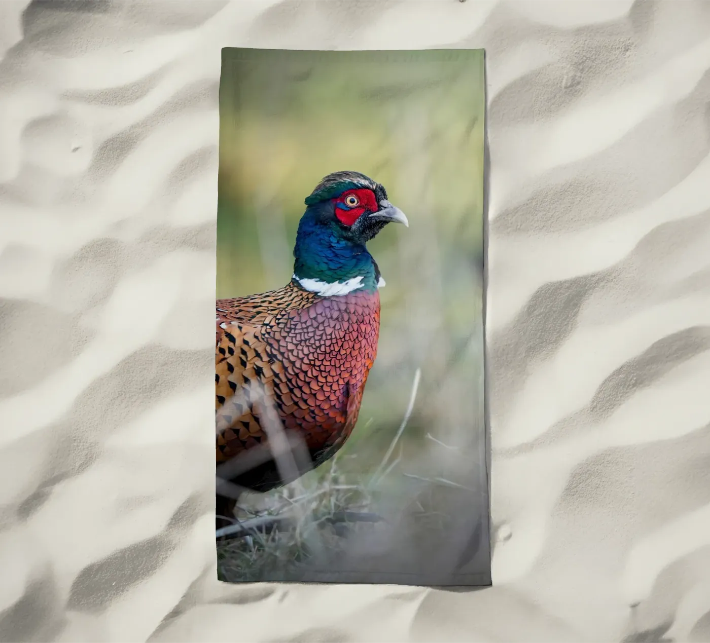 Pheasant Strandtuch von Tom's Wildlife