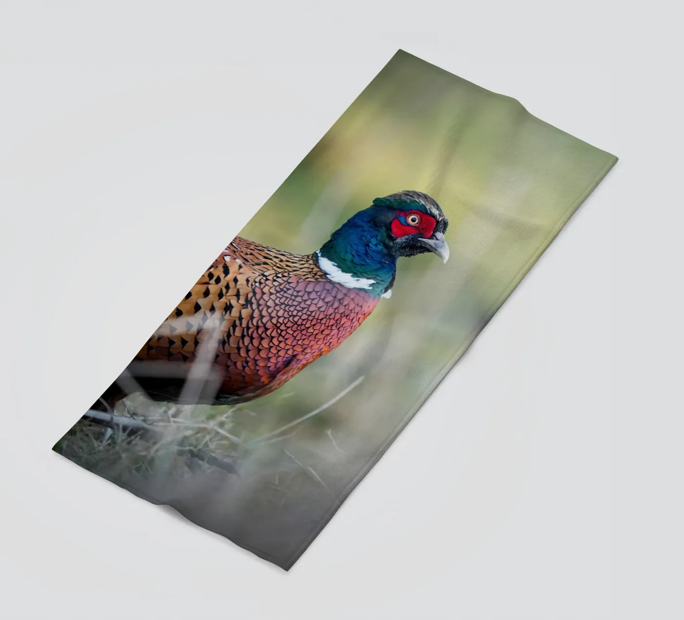Pheasant Strandtuch von Tom's Wildlife