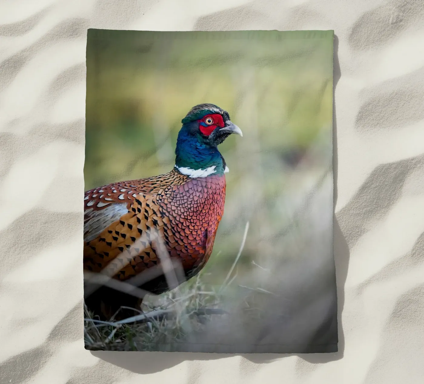 Pheasant Strandtuch von Tom's Wildlife