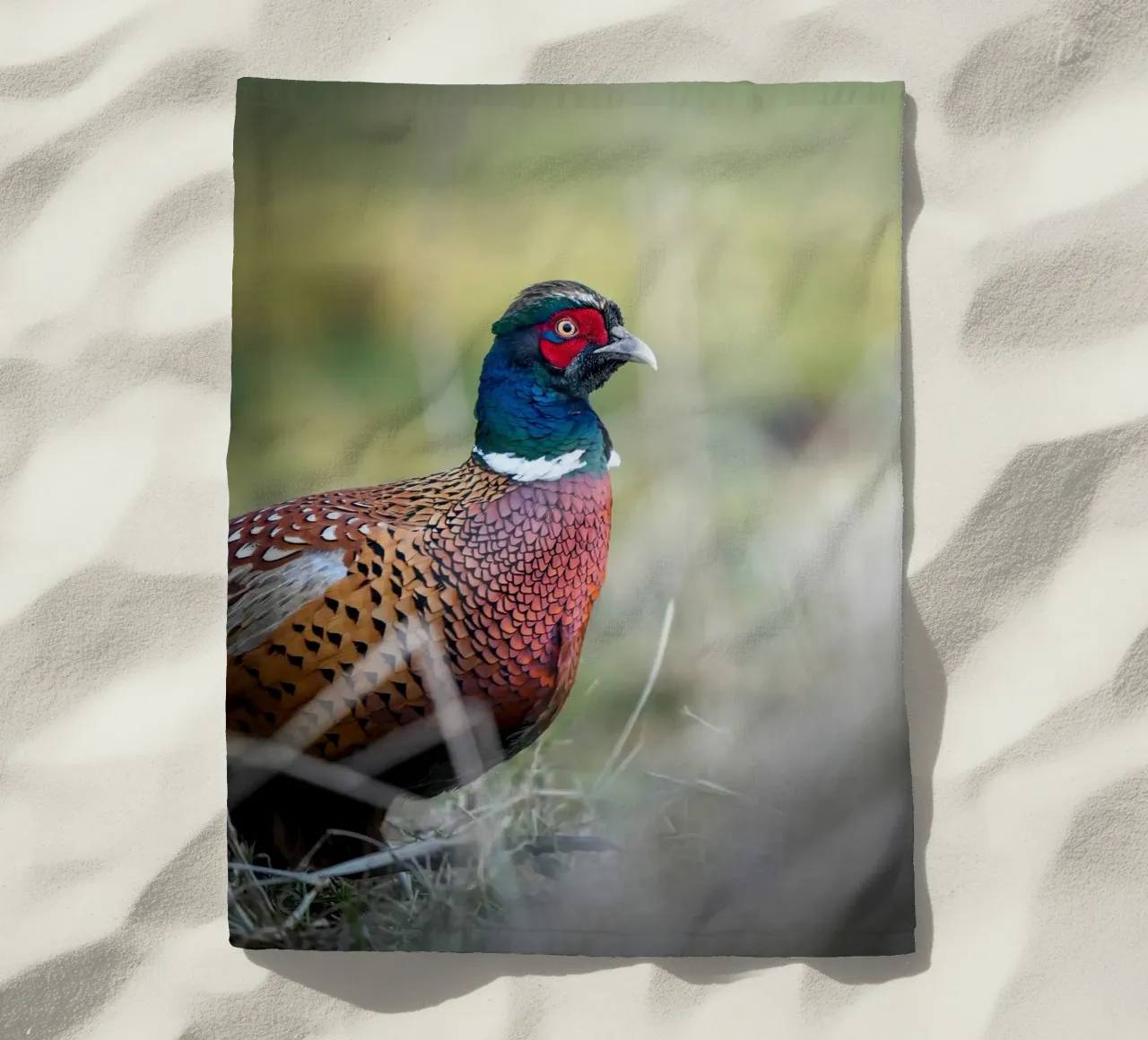 Pheasant beach towel by Tom's Wildlife