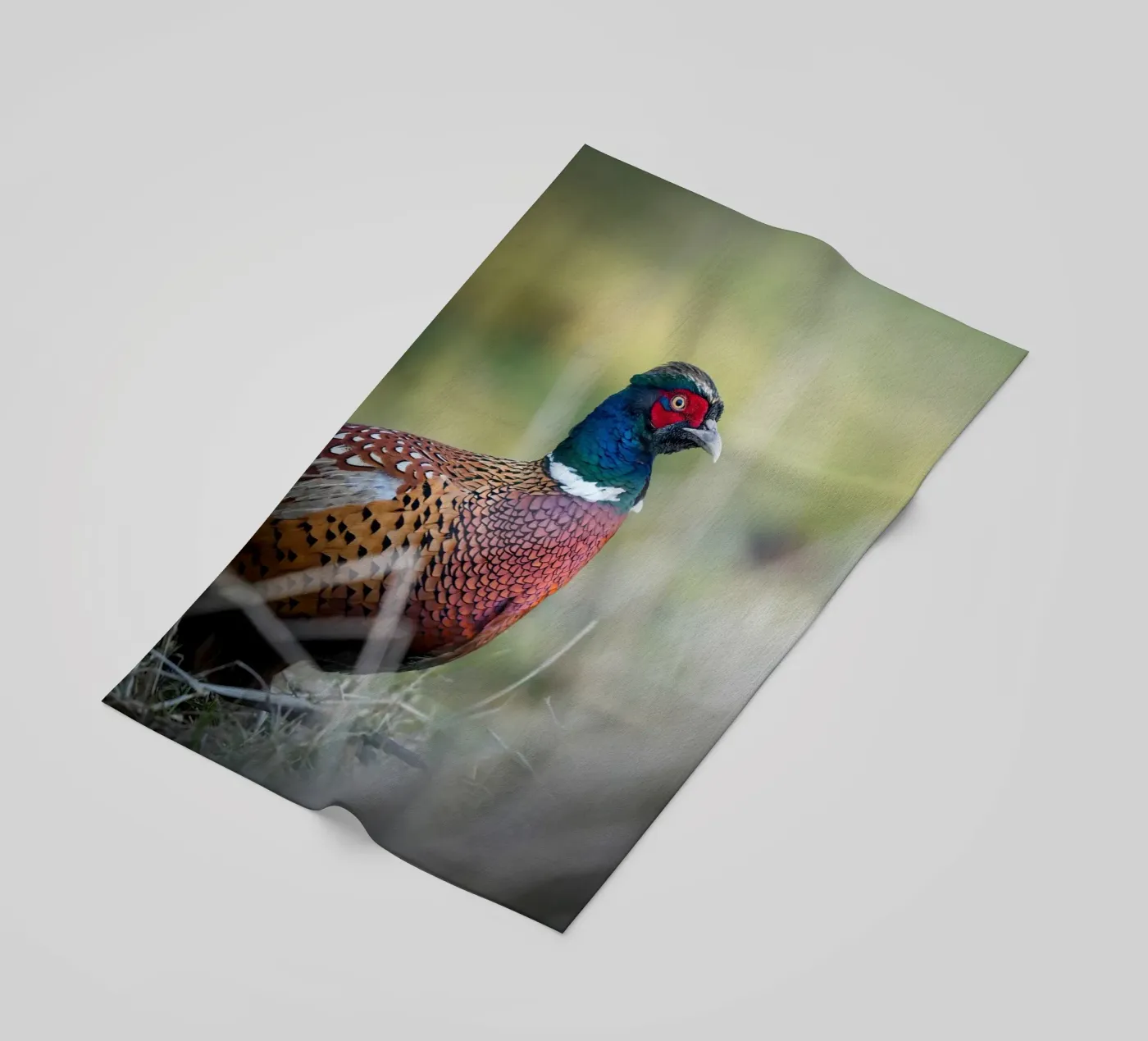 Pheasant Strandtuch von Tom's Wildlife