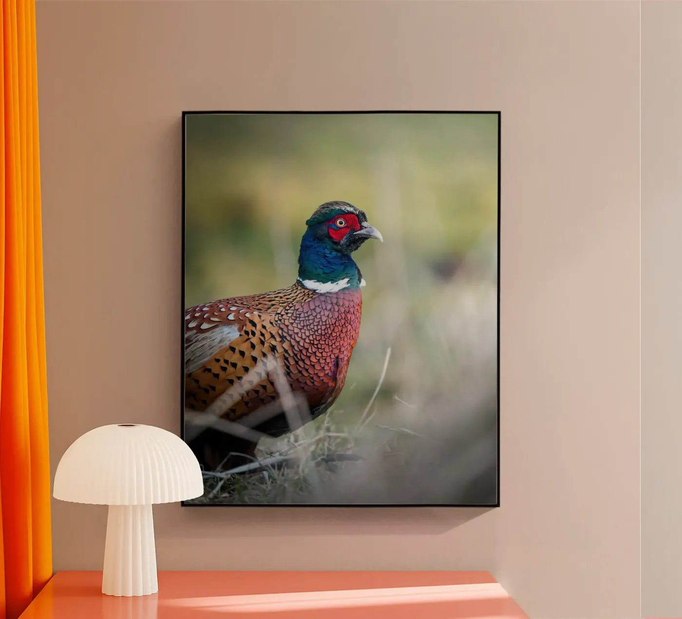 Fagiano plexiglass da Tom's Wildlife