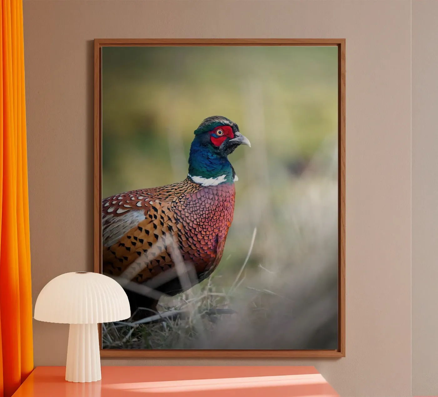 Pheasant pannello forex da Tom's Wildlife