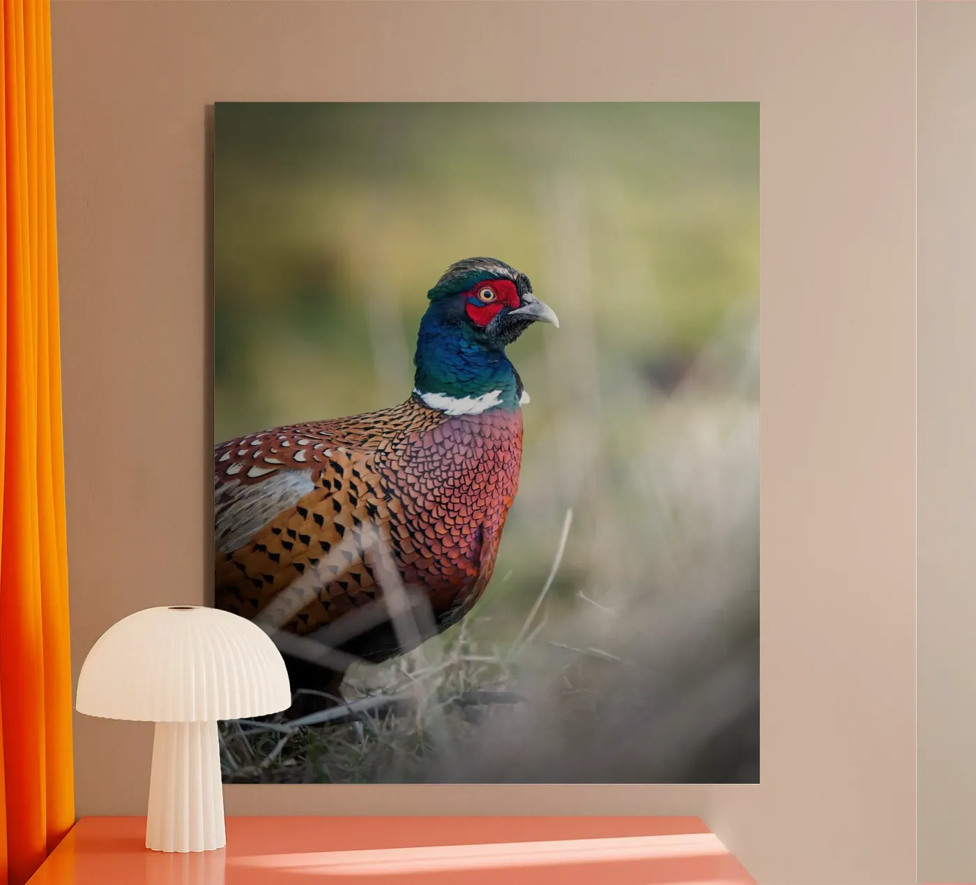 Pheasant alu-dibond by Tom's Wildlife